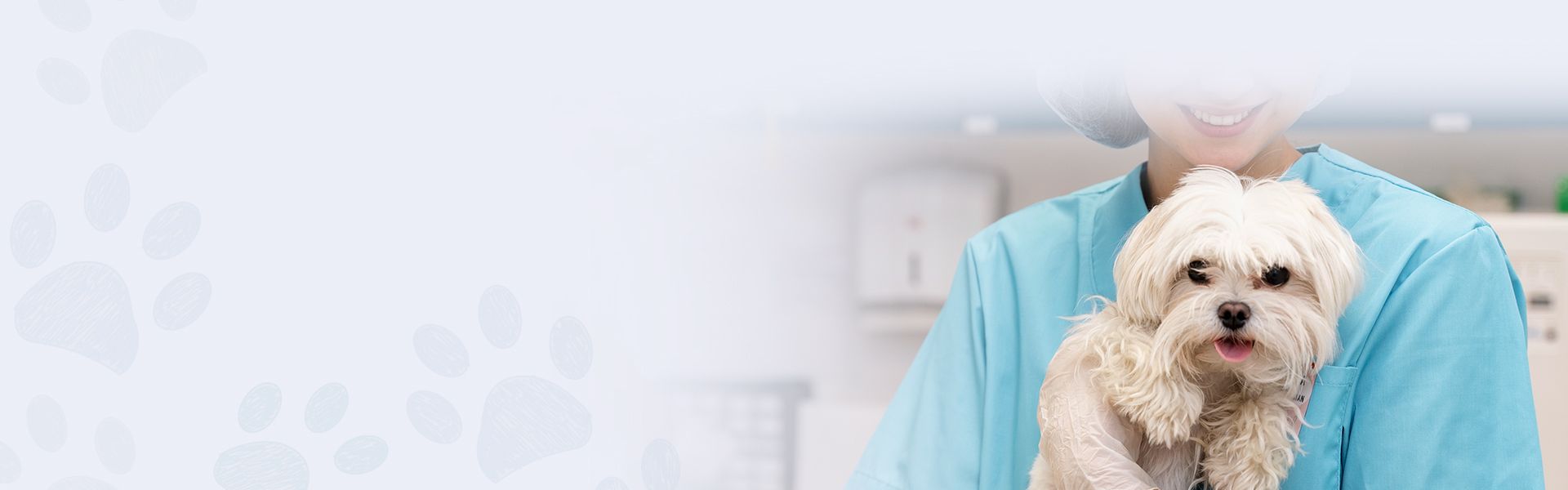 Female vet in blue coat hugging white little dog